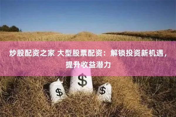 炒股配资之家 大型股票配资:解锁投资新机遇,提升收益潜力