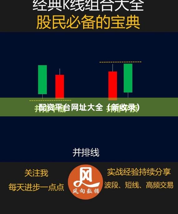 配资平台网址大全(新收录)