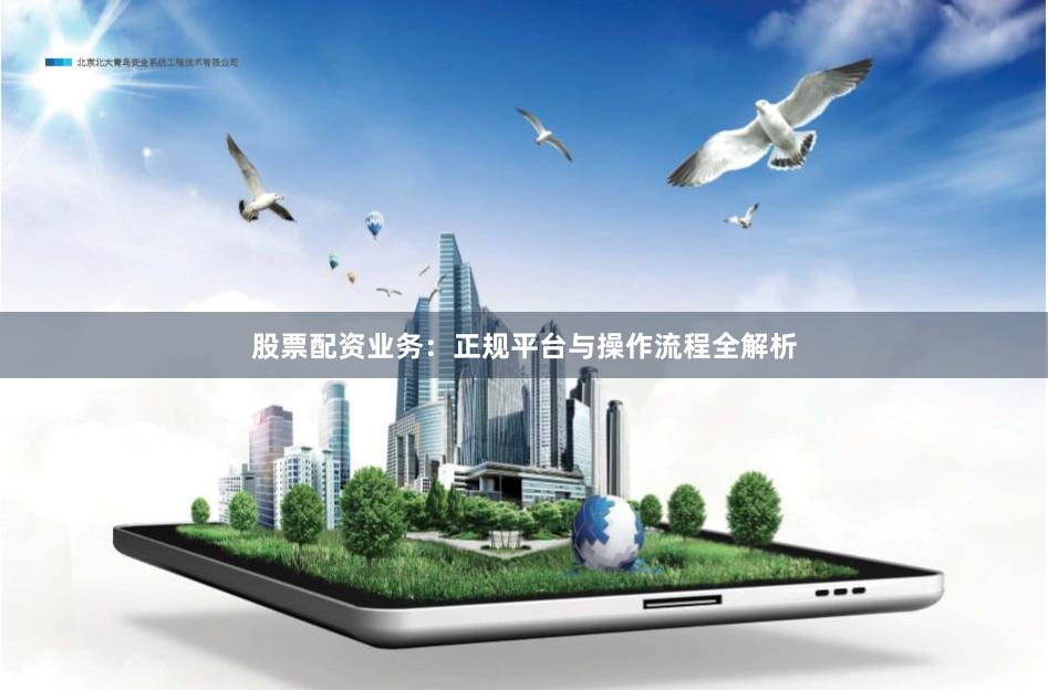 股票配资业务：正规平台与操作流程全解析